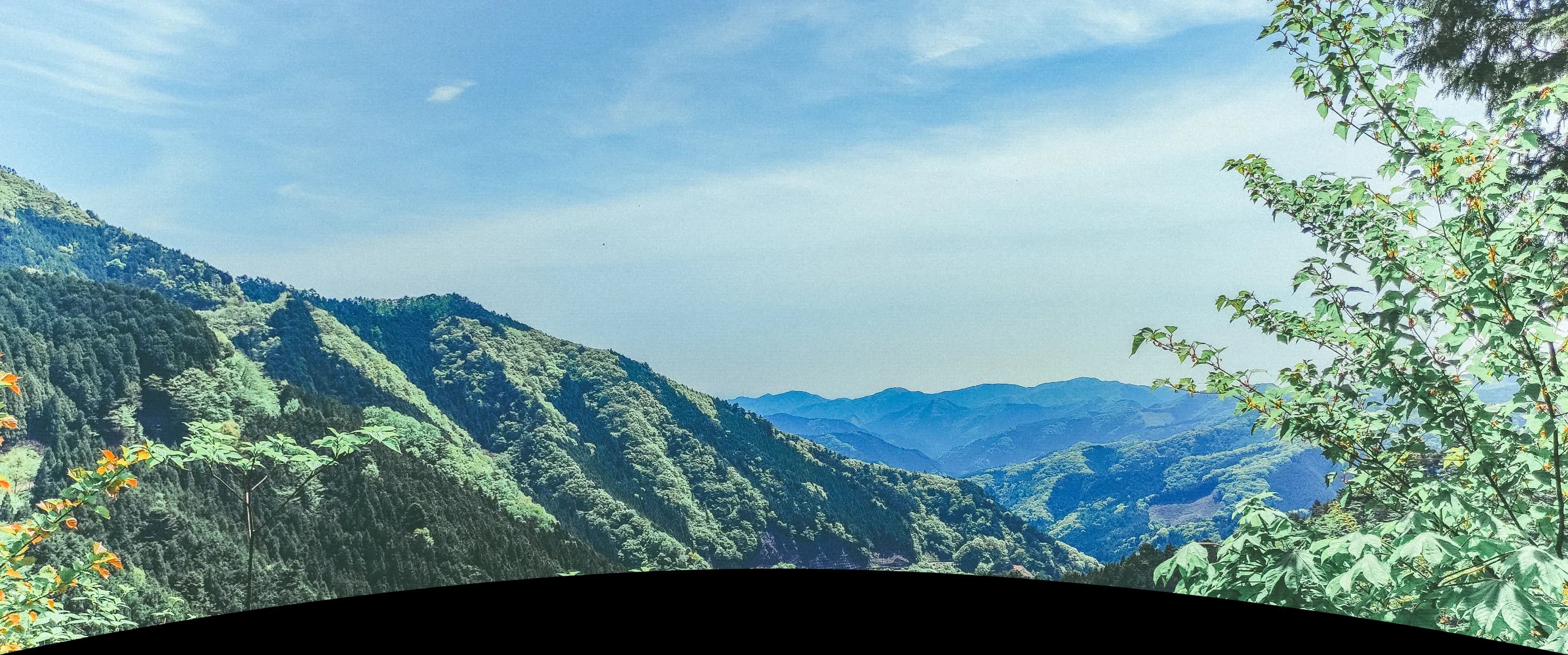 topimage
